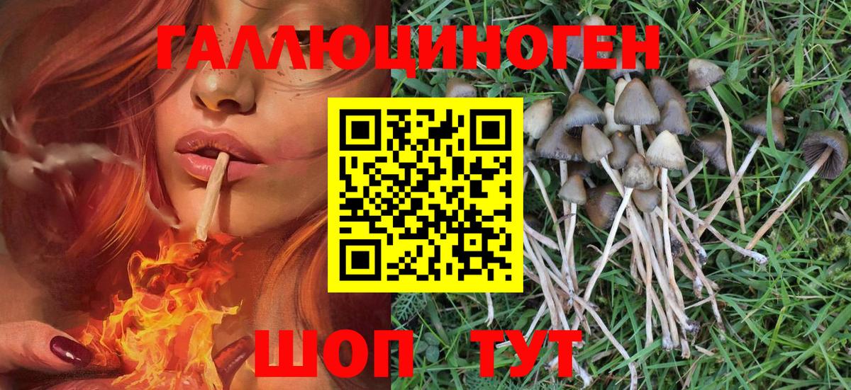 Галлюциногенные грибы прущие грибы Конаково