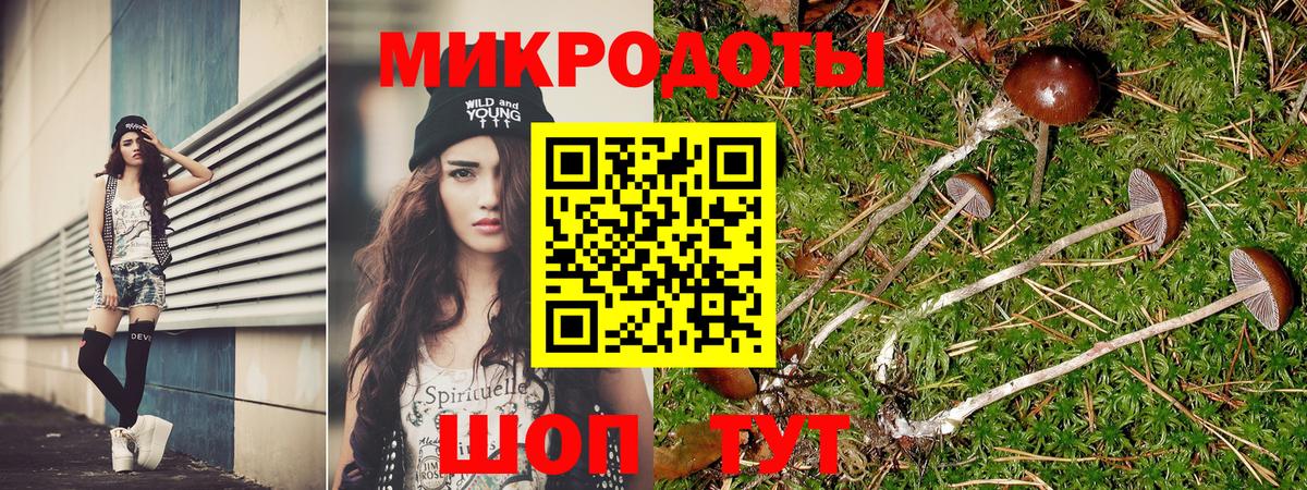 Конаково  Псилоцибиновые грибы Cubensis  Вход с VPN 