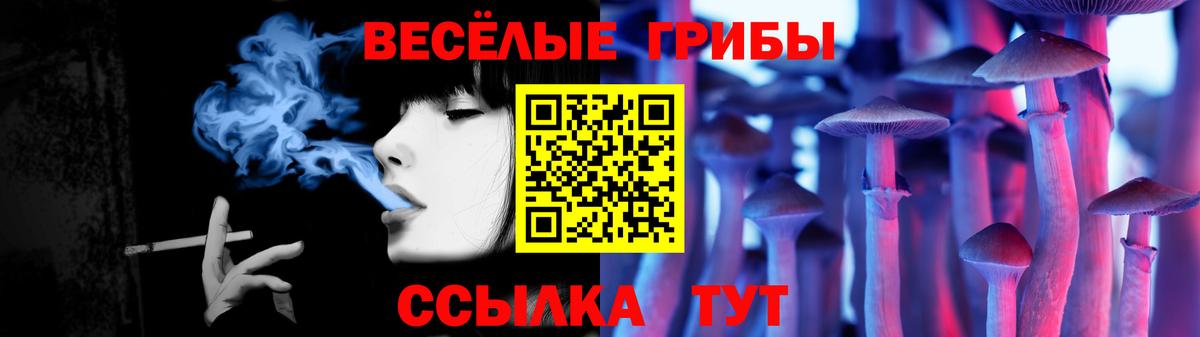 Псилоцибиновые грибы прущие грибы Конаково